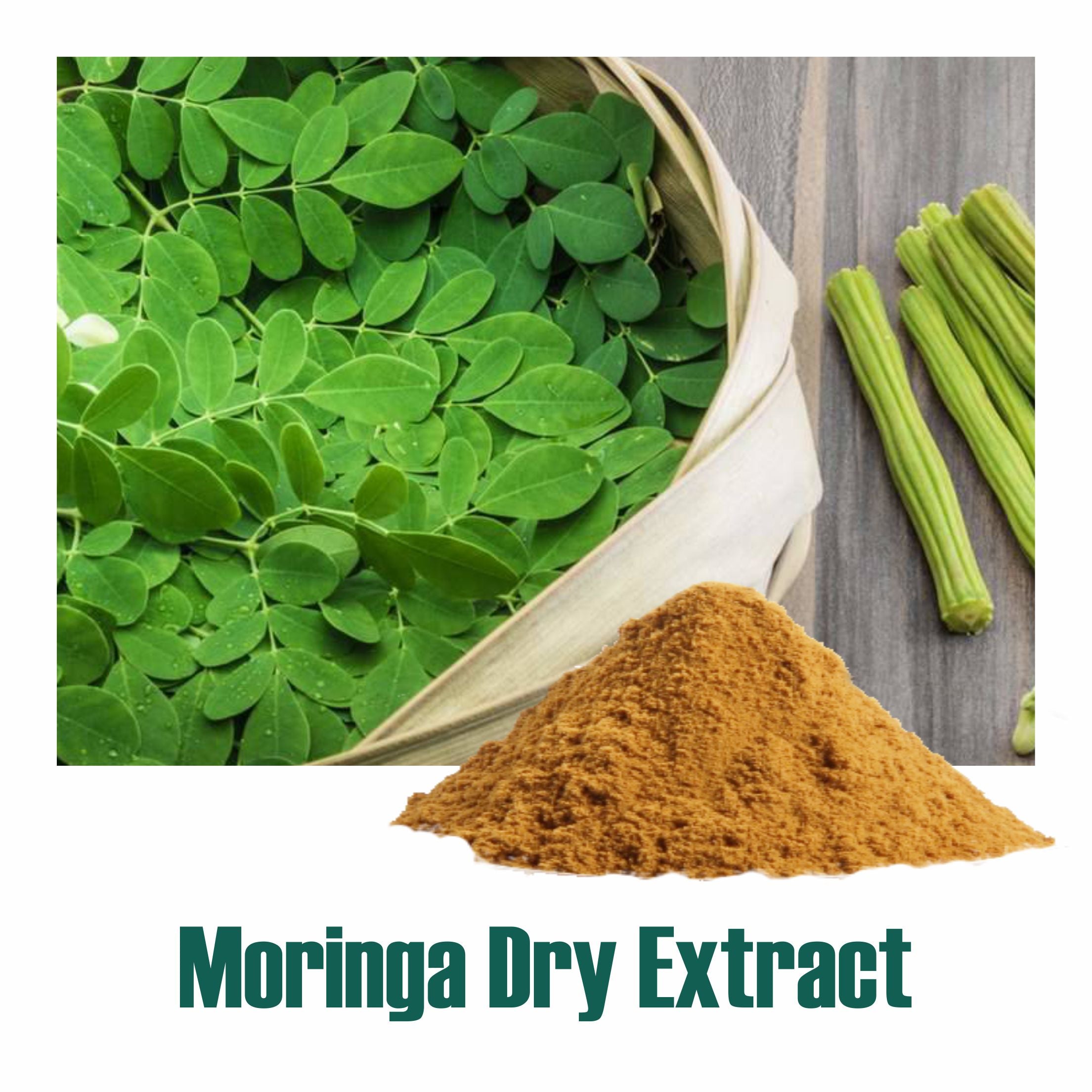 Moringa/ Shigru (Moringa Oleifera) Dry Extract - 30% Saponins by Gravimetry
