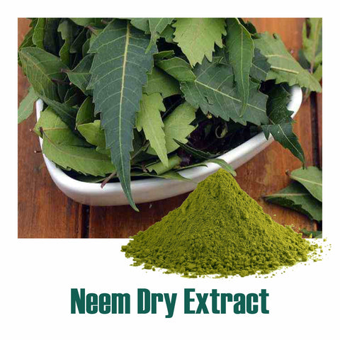 Neem (Azadirchta indica) dry Extract - 2.5% Bitters by Gravimetry