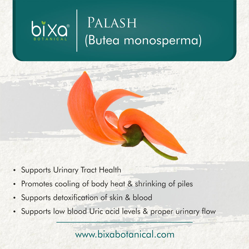 Benefits of Palash पलश क फल म ह कई औषधय गण जन हद धरम  म कय ह इसक क महतव  Betul Update