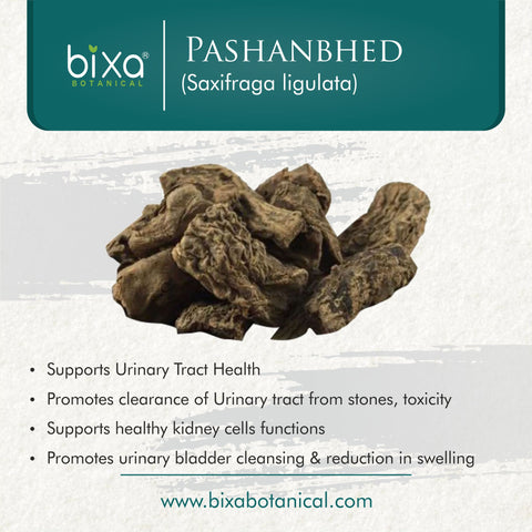 Pashanbhed Root Powder  Saxifraga ligulata
