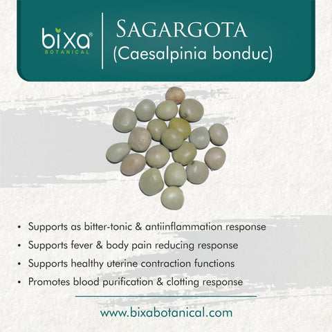Sagargota Powder  Caesalpinia bonducella
