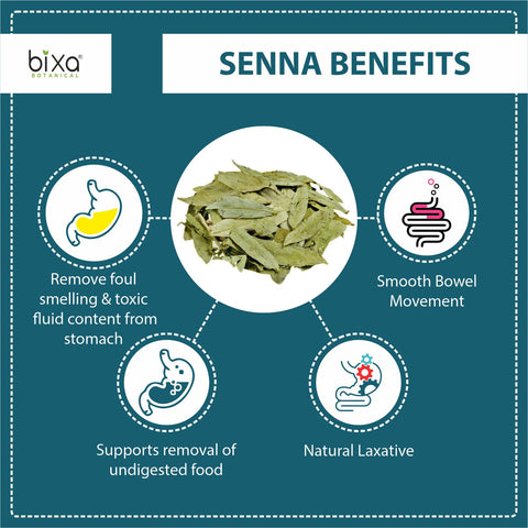 Indian Senna / Sanay Extract 60 Veg Capsules (450mg) 20% Sennoside