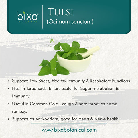 Tulsi Leaves Powder  Ocimum sanctum