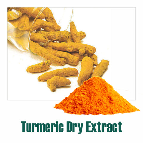 Turmeric / Haldi (Curcuma longa) dry Extract - 20% Total Curcumin by HPLC