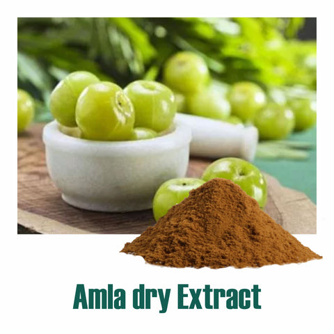 Amla ( Emblica officinalis ) dry Extract - 40% Tannins by Titration