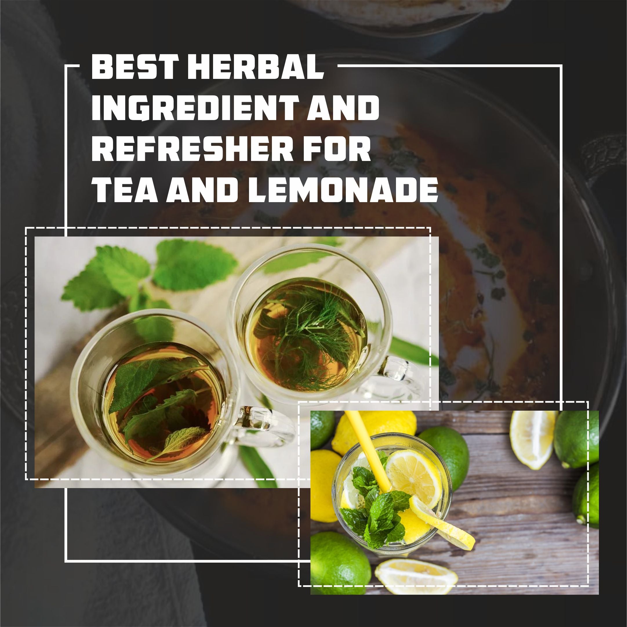 Basil Leaves Seasoning | Premium Grade Leaves From Egypt l Pizza Pasta Italian Salads Sauces and other Cooking