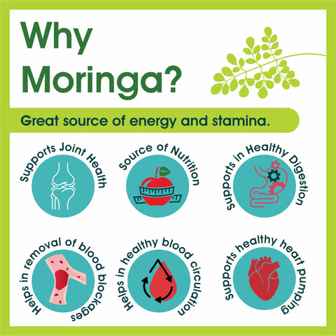 Moringa / Shigru Extract 60 Veg Capsules (450mg) 1% Alkaloids